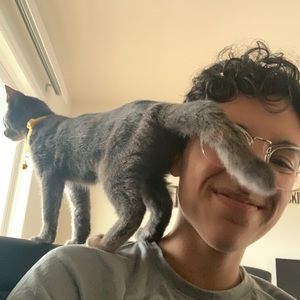 Meet your Posher, Paula